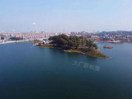 甘棠公园爆料最新消息视频,视频揭秘公园神秘事件