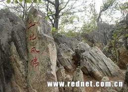 八公山新闻爆料事件,真相与舆论的交织