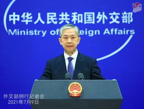 汪文斌爆料成蕾视频,真相背后引人深思”