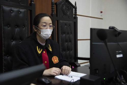 法官在线观看,司法变革的新篇章