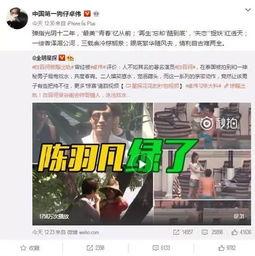 台湾小凯爆料事件视频在线观看,揭秘事件背后真相
