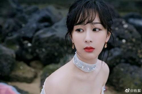 路人爆料杨紫视频大全下载,精彩瞬间一网打尽