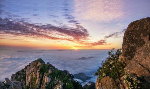 山东泰山爆料者名单最新,幕后真相一一揭晓