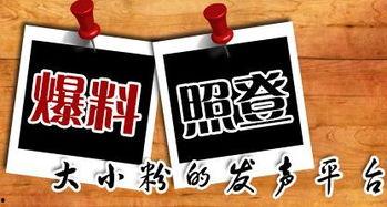 武汉新闻爆料台,聚焦城市脉搏，解码民生热点