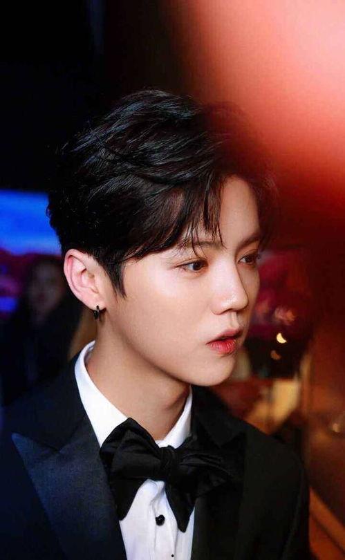 肖战爆料鹿晗刘诗诗视频,幕后真相令人震惊