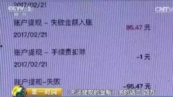 上海网约车最新爆料平台,平台动态与行业变革