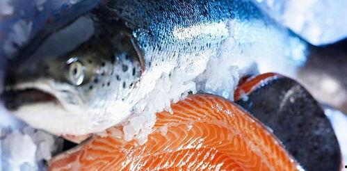 新闻爆料海鱼事件真相视频,视频揭露惊人内幕