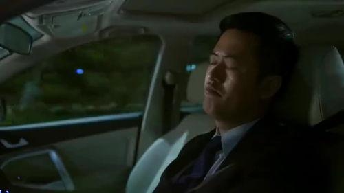 心灰在线播放观看,情感纠葛的治愈之旅