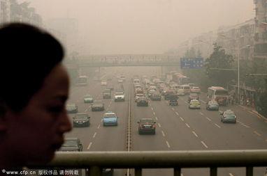 荆楚网今日爆料,揭秘背后惊人真相！