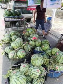 茅山网红吃瓜事件,揭秘网络舆论背后的真相与争议